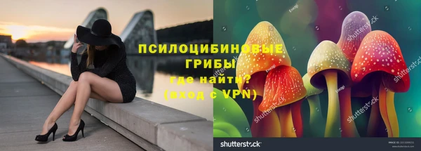 СК Нязепетровск