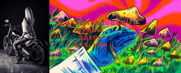 экстази Няндома